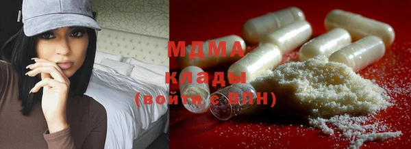 индика Белокуриха