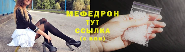 индика Белокуриха