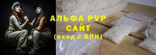 индика Белокуриха