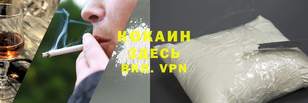 индика Белокуриха