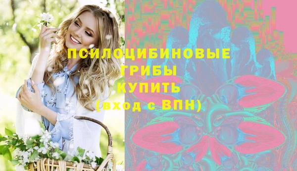 индика Белокуриха