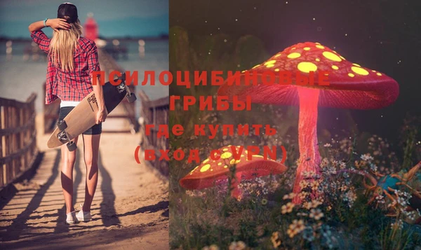гашик Белоозёрский