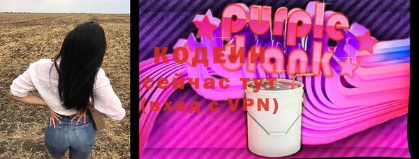 индика Белокуриха