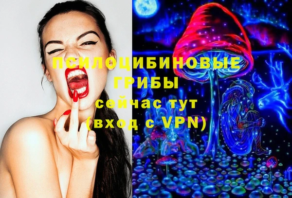 гашик Белоозёрский