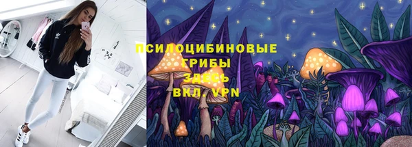гашик Белоозёрский