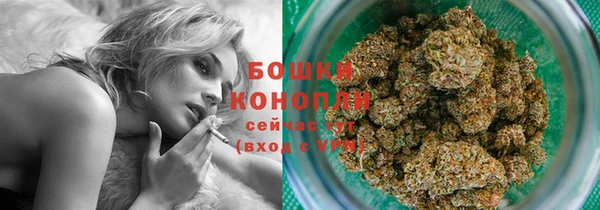 гашик Белоозёрский