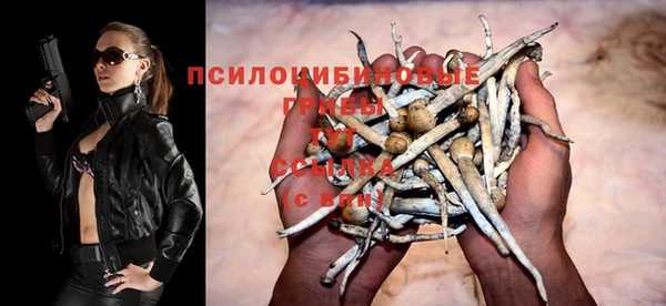 индика Белокуриха