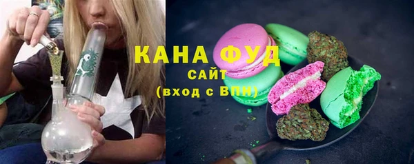 индика Белокуриха